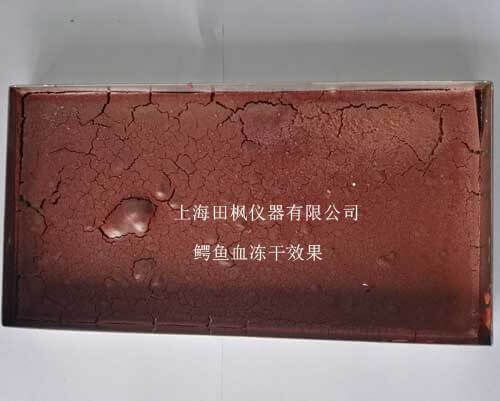 上海田楓冷凍干燥機(jī)：鱷魚血凍干粉