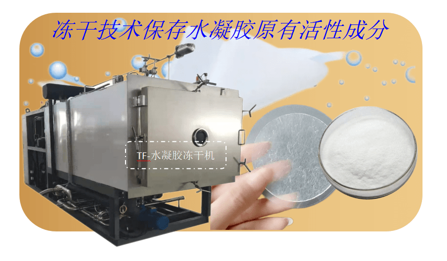 凍干機在水凝膠凍干加工應(yīng)用