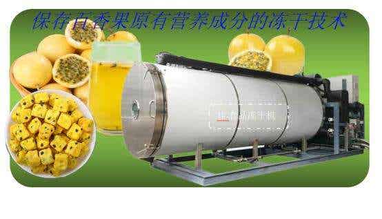 百香果凍干工藝流程和食品凍干機生產(chǎn)線
