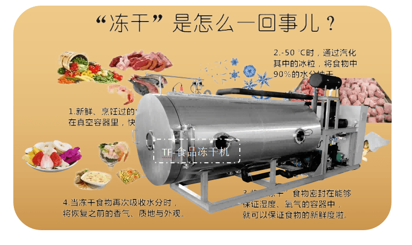 食品凍干解決方案和食品凍干機生產(chǎn)線的設(shè)計