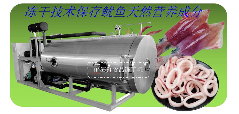 海鮮食品凍干機在魷魚凍干加工生產(chǎn)