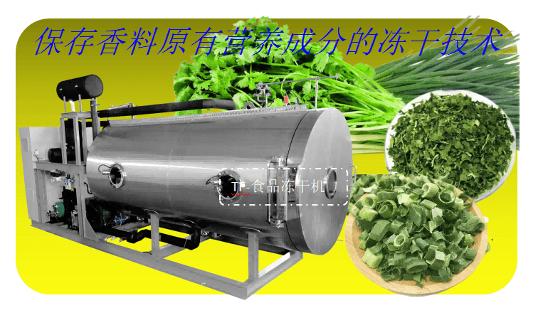 小蔥香菜凍干技術(shù)和食品凍干機(jī)在香料干燥優(yōu)勢(shì)
