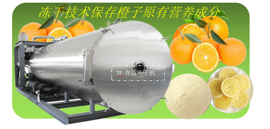 食品凍干機(jī)在橙子凍干開(kāi)發(fā)應(yīng)用