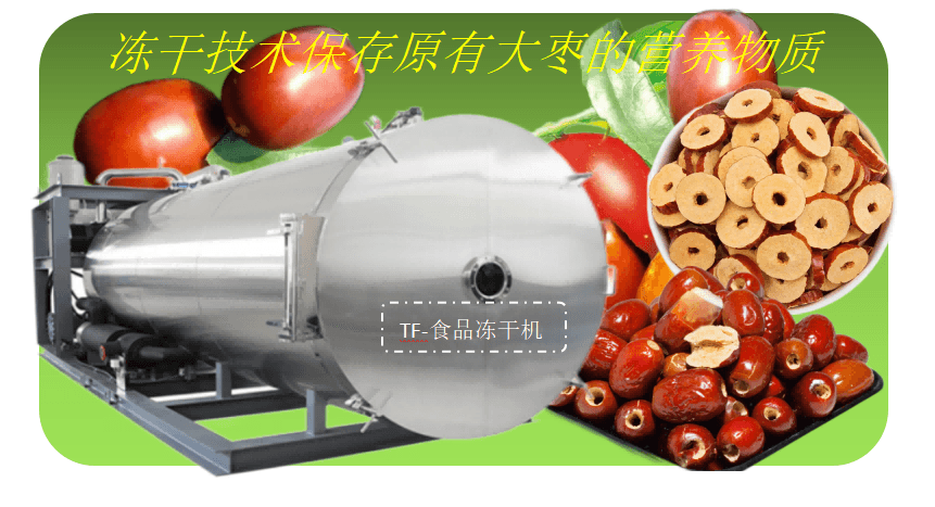 食品凍干機應用：大棗凍干加工鎖住原有營養(yǎng)成分