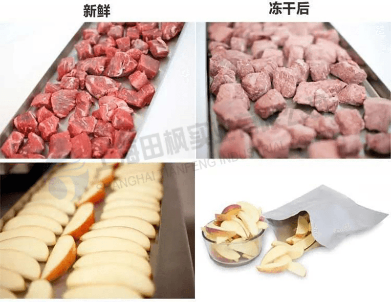 實(shí)驗(yàn)室凍干機(jī)：實(shí)驗(yàn)室真空冷凍干燥機(jī)在食品凍干應(yīng)用