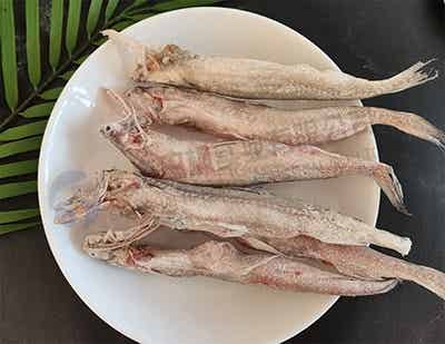 田楓龍頭魚(yú).jpg