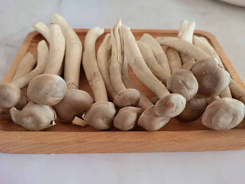海鮮菇凍干：食用菌凍干機(jī)制作凍干海鮮菇技術(shù)