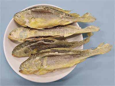 海魚凍干：海鮮凍干機應用黃花魚凍干優(yōu)點