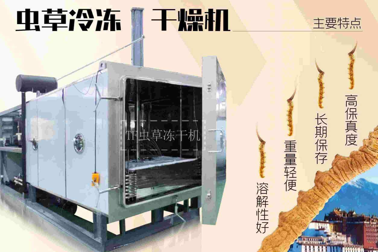 你知道醫(yī)療凍干機是如何幫助保存藥物的嗎？
