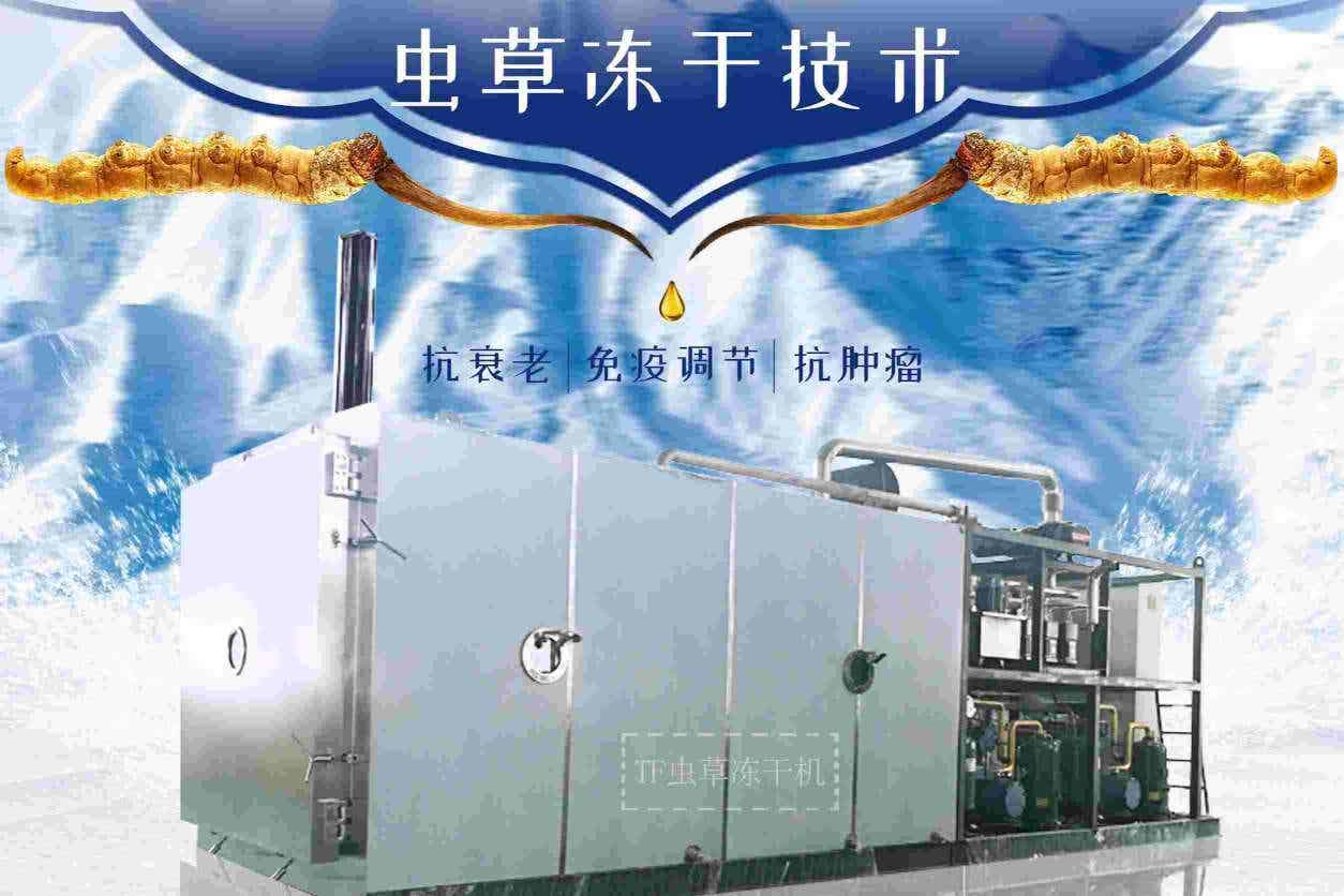 冬蟲夏草凍干機的工作原理是什么？
