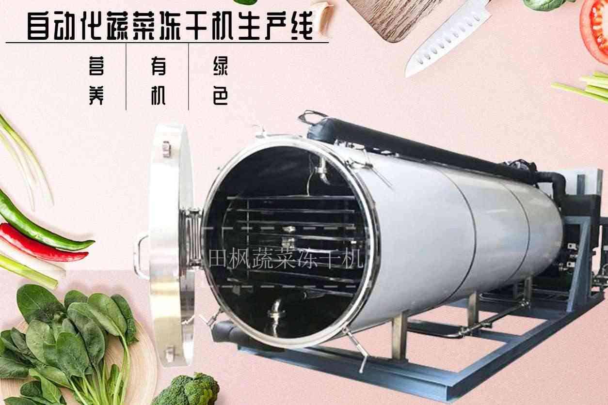如何選擇適合自己的蔬菜凍干機？有哪些購買建議？