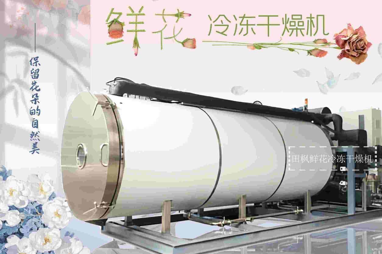花卉冷凍干燥機(jī)如何保留鮮花的自然色澤和形態(tài)？