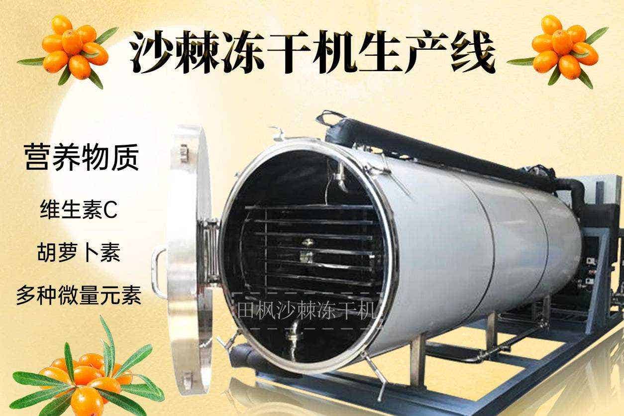沙棘凍干機(jī)的歷史和發(fā)展現(xiàn)狀是怎樣的？