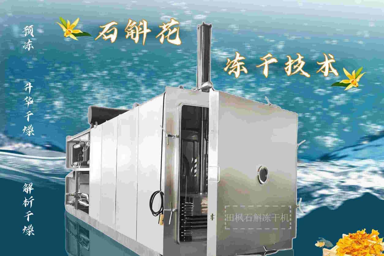 了解石斛花凍干機(jī)的發(fā)展歷程和未來規(guī)劃？