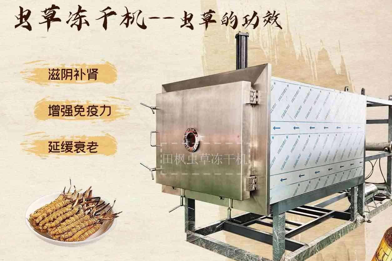 制藥用凍干機(jī)和傳統(tǒng)干燥技術(shù)相比有何優(yōu)勢？