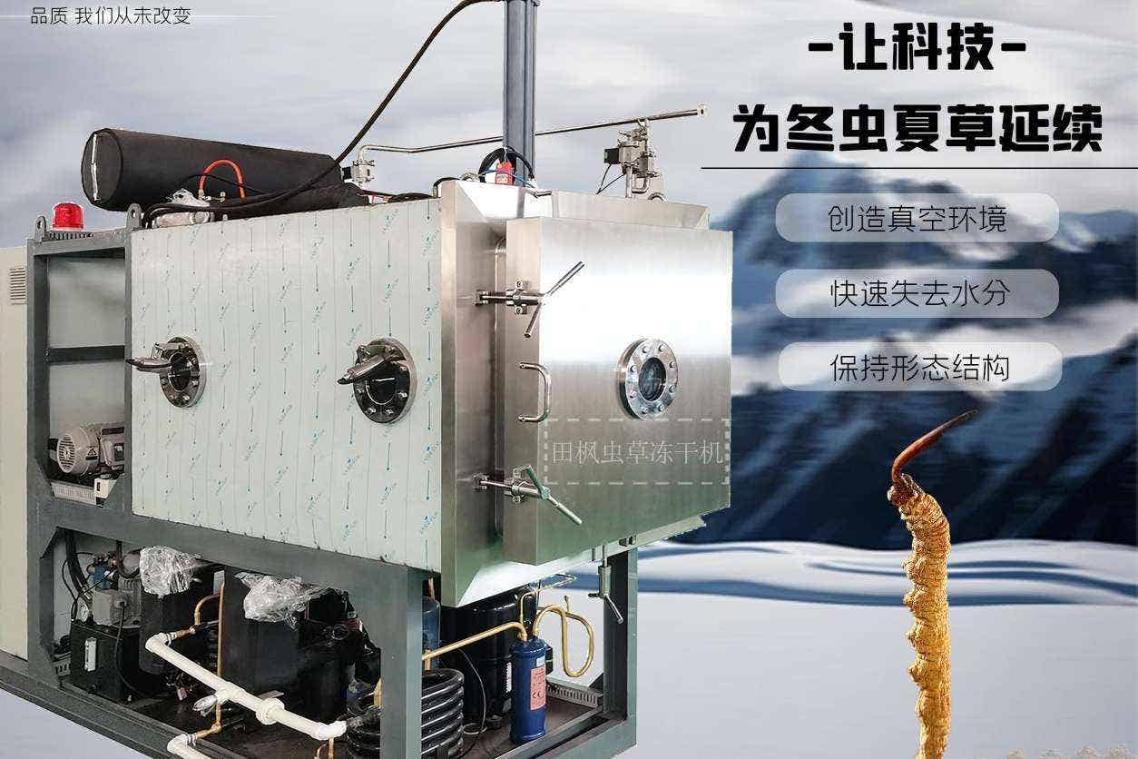 17193634905386.jpg 蟲10.jpg