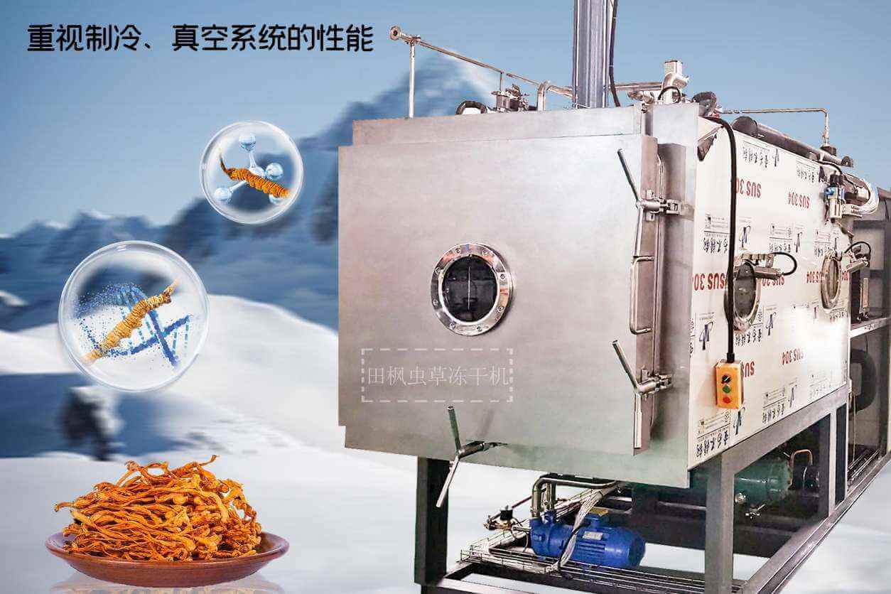 17193635056289.jpg 蟲12.jpg