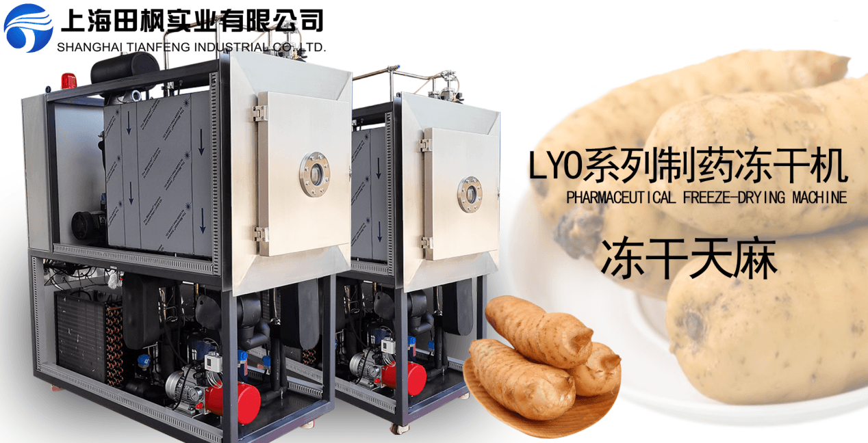 凍干機在天麻加工中的優(yōu)勢