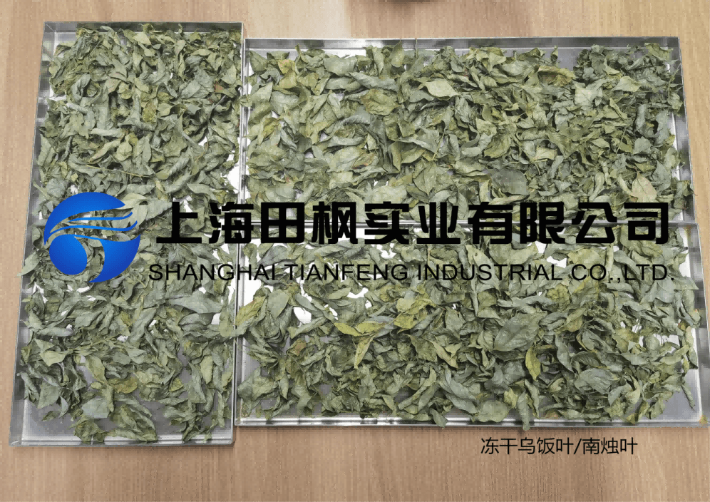 凍干機(jī)讓傳統(tǒng)烏米飯便捷又營(yíng)養(yǎng)