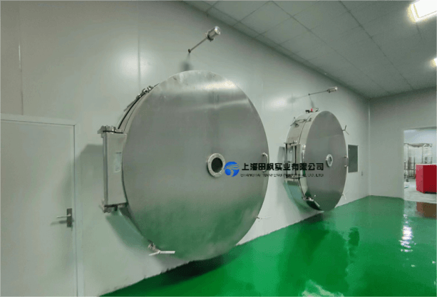 中小型水果凍干機加工廠