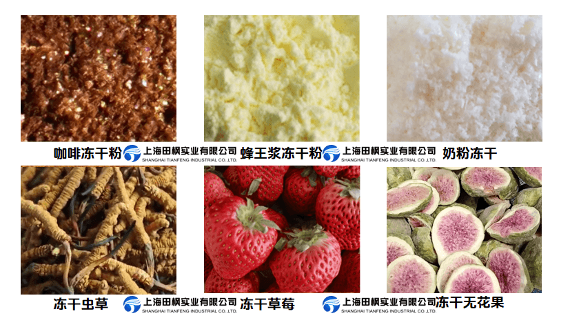 ?HFD系列小型商用冷凍干燥機
