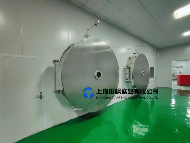 年產(chǎn)20000公斤果蔬凍干加工車間整體解決方案