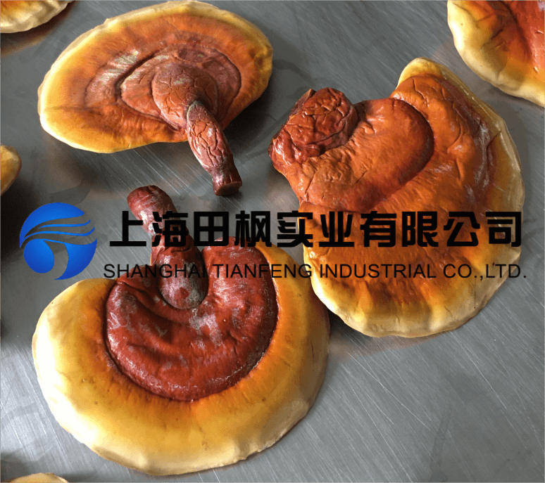 冷凍干燥機(jī)制作靈芝凍干粉的工藝流程