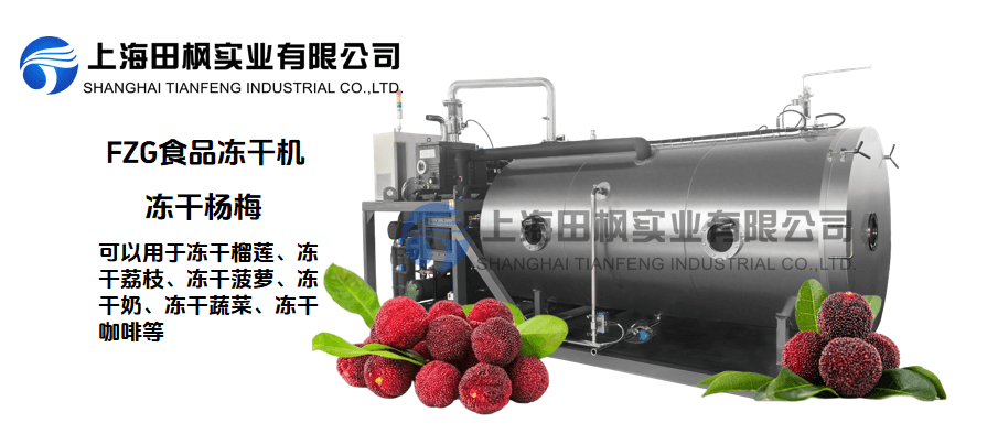 夏季冰鮮，楊梅冷凍干燥機新保存方式