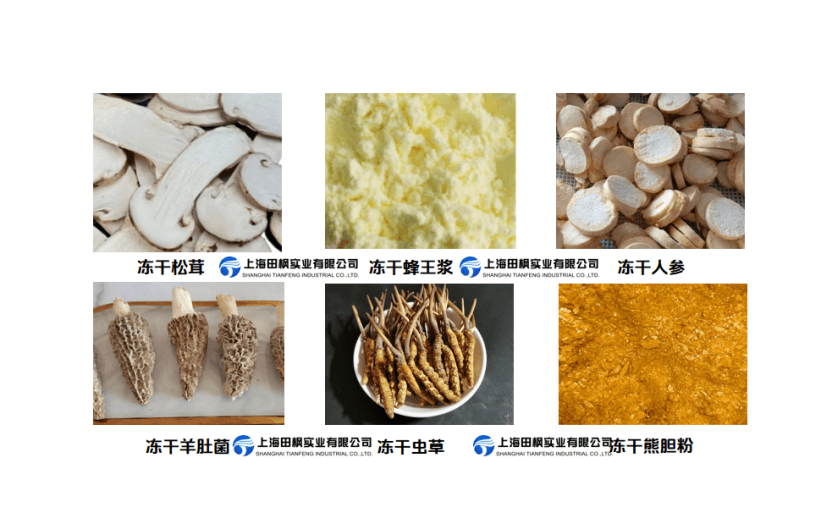 食用菌冷凍干燥機在高端菌菇及中藥材加工領域的應用