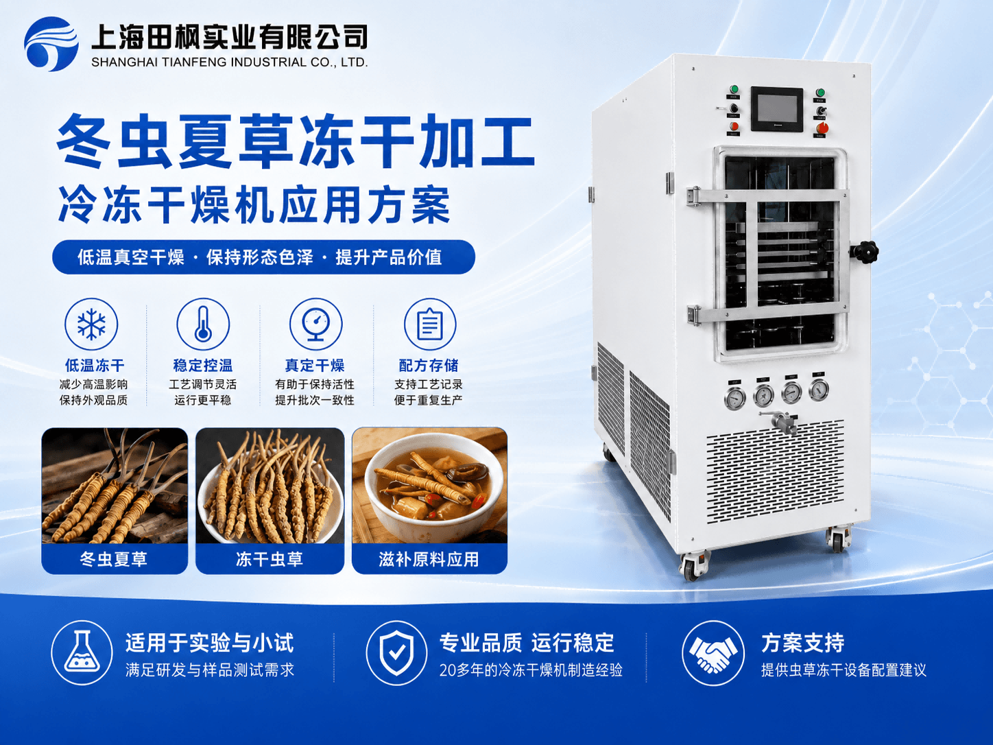 冬蟲夏草凍干加工：冷凍干燥機(jī)應(yīng)用方案