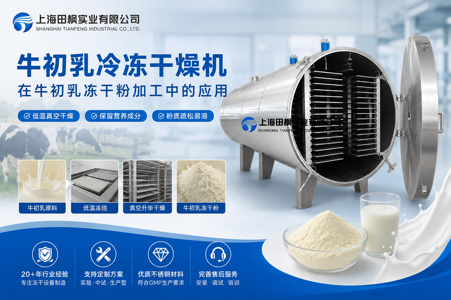 牛初乳冷凍干燥機(jī)在牛初乳凍干粉加工中的應(yīng)用