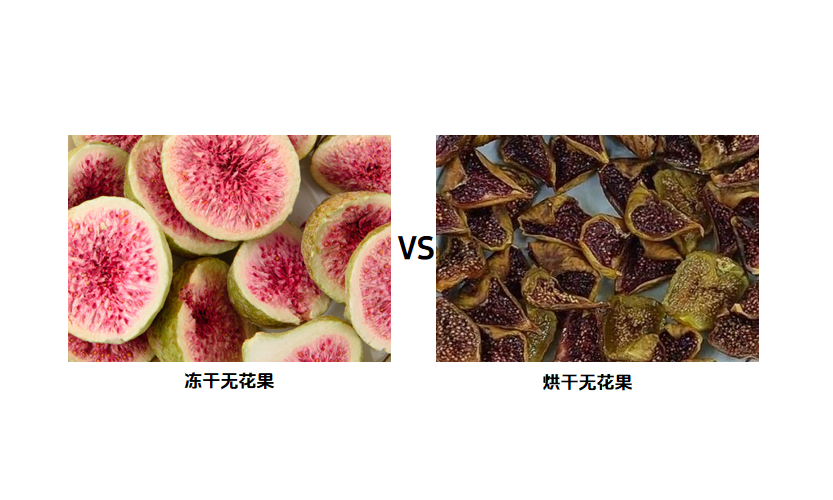 無(wú)花果深加工與水果冷凍干燥機(jī)應(yīng)用方案
